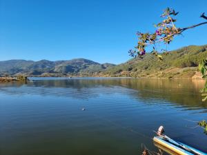 Rosee de Kala - Chipmunk Alvin