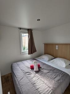 Appartements Mobil home climatise avec piscine : photos des chambres