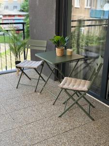 The Elite Suite IV downtown apartment AC & garage parking