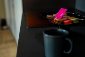 KODERLE SUITE K4 Zampa D Orso