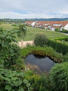 Ferienwohnung am Stadtrand
