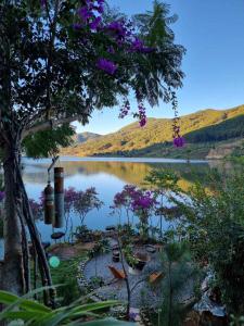 Rosee de Kala - Chipmunk Alvin