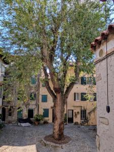 Casa Vianella