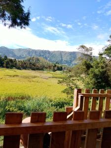 Dieng glamping syariah