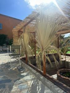 Hostl - Beds & Rooms - The Hostel Inn Paphos, Old Town