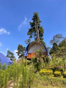 Dieng glamping syariah