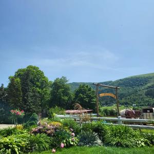 Noclegi w domku Koniarza