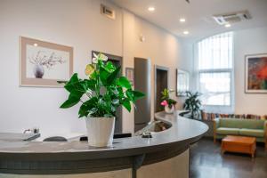 Hotel Medusa Splendid