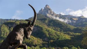 Hotels Best Western Plus Pays du Mont Blanc : photos des chambres
