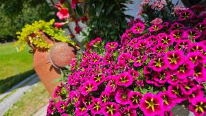 Pfleger Ranch am Schönegg Gut