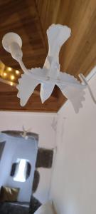 Maisons d'hotes Manoir de Kerenneur : photos des chambres