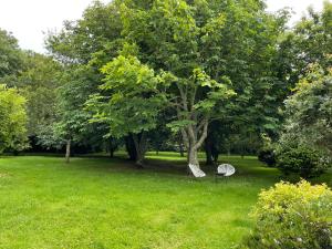 Maisons d'hotes Manoir de Kerenneur : photos des chambres