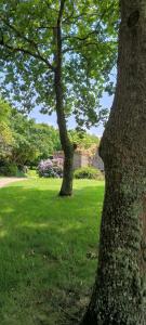 Maisons d'hotes Manoir de Kerenneur : photos des chambres