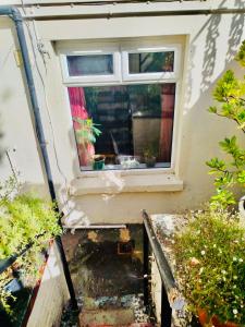 Cozy 2 bedroom close to Central London