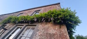 charmant groot huis met verzicht en zonsondergang aan voet van de Ardennen