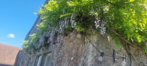 charmant groot huis met verzicht en zonsondergang aan voet van de Ardennen