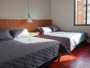 Casa Frailejón Manizales