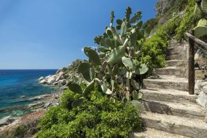 Villa Orchidea img11