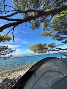 Boutique Camping Bunja