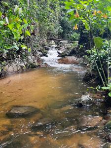 Shinrinyoku Chiang Mai