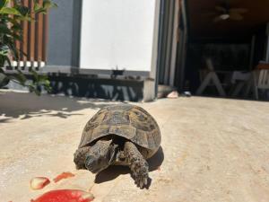 Sea View Villa in most upscale Yalikavak