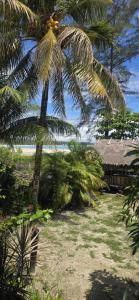 Laggaita Beach Homestay & Tourist Culinary Centre Mentawai