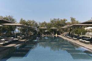 Hôtel Plage Palace & Spa