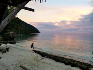 Bruno Raja Ampat Homestay
