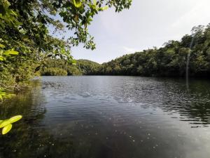 Bruno Raja Ampat Homestay