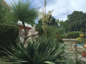 Stancieta Ulrihi - Rajki