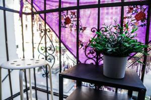 Hotel Maruja en Cascorro