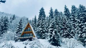 ლენტეხის მთის სასტუმრო - Lentekhi Mountain Inn