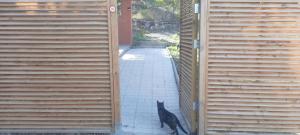 Maisons de vacances Gite 4 Pers - Le Moulin De L-Agly : photos des chambres
