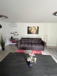 Gemini Lux- Moon Balaton - Ubytování bez kategorie ve městě Balatonkenese