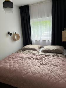 Gemini Lux- Moon Balaton