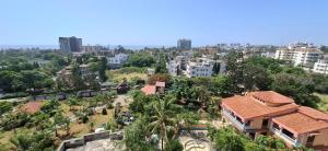 Zamia Heights Apartments