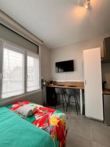 STUDIO Le Mini Voltaire à 900 m de la plage de Malo-les-Bains