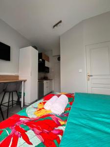 Appartements STUDIO Le Mini Voltaire a 900 m de la plage de Malo-les-Bains : photos des chambres