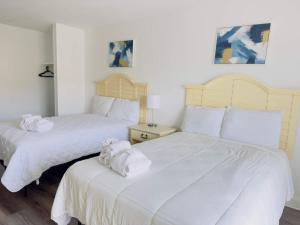 SM5 Lovely Ocean View condo on the ocean