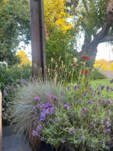 Apartamenty Dom Ogrodnika