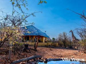 Kruger Wildlife Villas