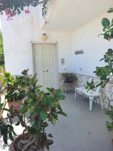 Appartamento Biscotti-10