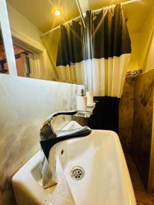 Peaceful private studio C15 Zamalek