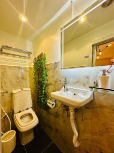 Peaceful private studio C15 Zamalek