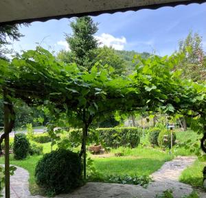 Ferienwohnung Gräfendhron