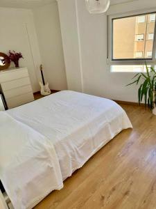Private Room in Central Valencia