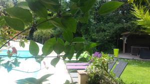 B&B / Chambres d'hotes Le Clos d'Any : photos des chambres
