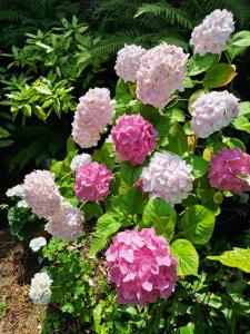 Pazo Casa Solariega de Cervantes