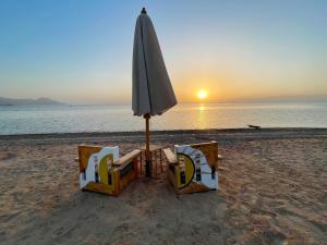 Live the bedouinlife