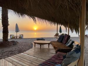 Live the bedouinlife